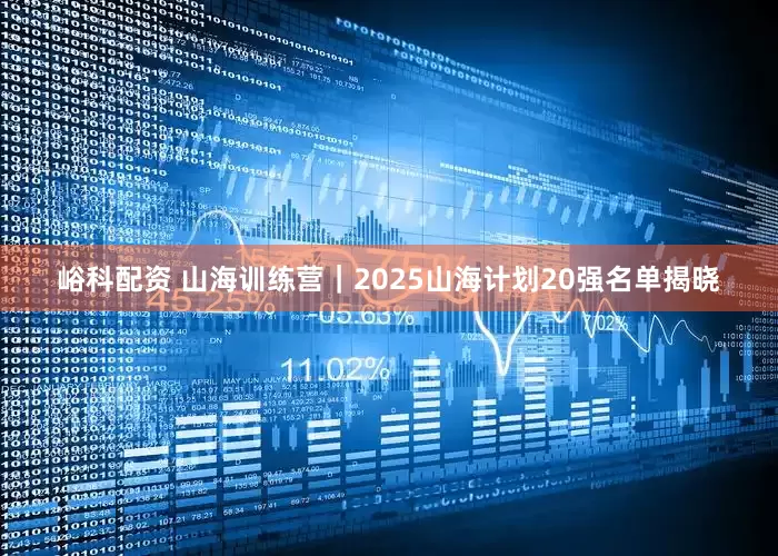 峪科配资 山海训练营｜2025山海计划20强名单揭晓