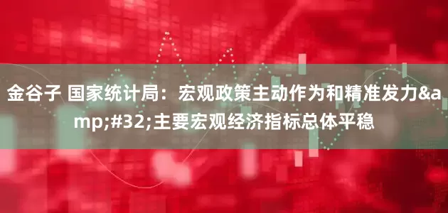 金谷子 国家统计局：宏观政策主动作为和精准发力 主要宏观经济指标总体平稳