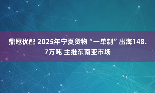 鼎冠优配 2025年宁夏货物“一单制”出海148.7万吨 主推东南亚市场